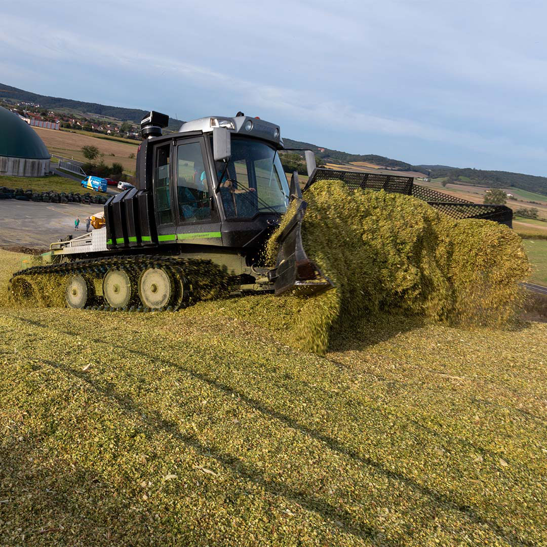 Eine Maisraupe in Action