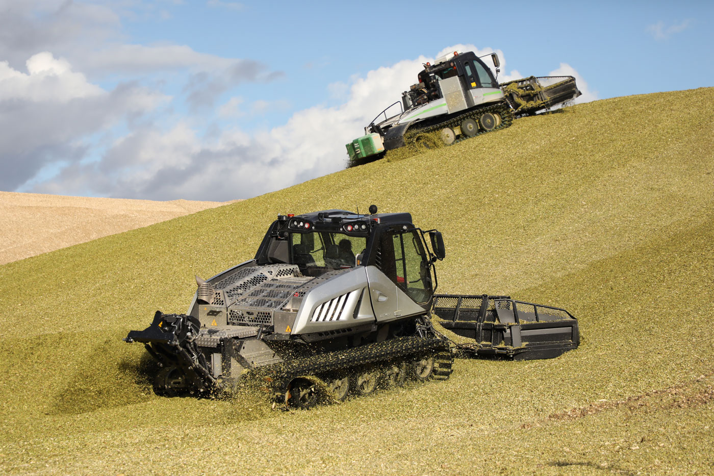 Zwei Maisraupen bei der Arbeit